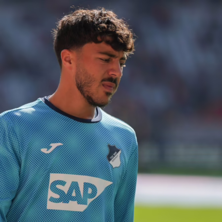 2. Liga oder Türkei: Mehrere Optionen für Hoffenheims Tohumcu 