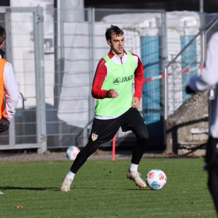 Milosevic vor Wechsel zu Werder Bremen 