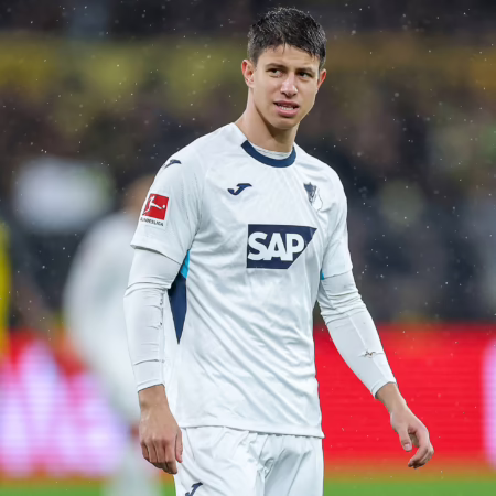 Der nächste Rückschlag für Hoffenheims Hlozek 