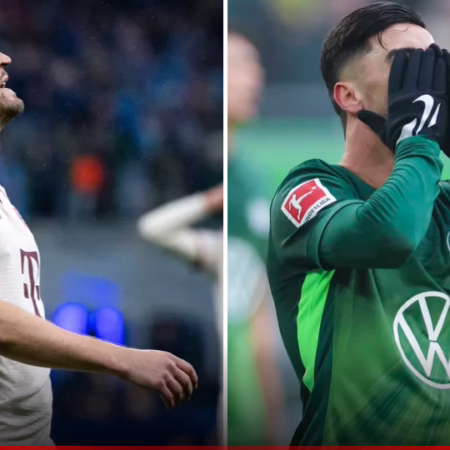 Bayerns vermeintlich leichtes Los & die historische Krise der Wölfe 