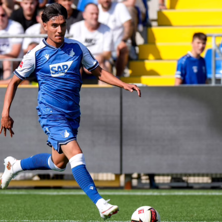 „Ein hochveranlagter Spieler“: Paderborn leiht Zeitler von der TSG aus 